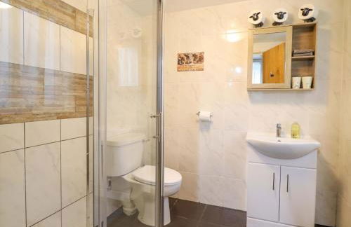 Bryn Y Garreg Cottage - The Wireless Tech Free Farm - Photo 33