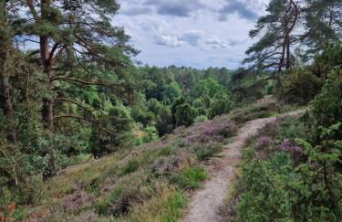 Ferienhuus Bossel - Foto 22