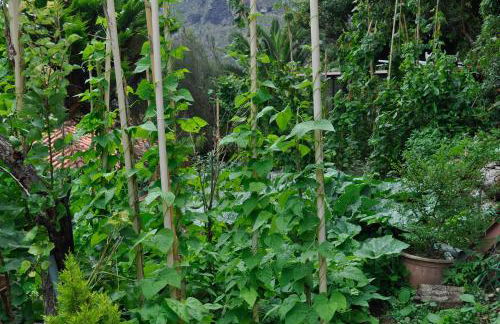 Refúgio Guest House - Foto 40