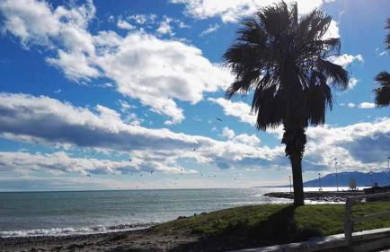 Málaga Alcolea - Photo 40