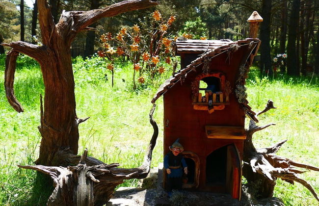 Eco Urbión - Foto 25