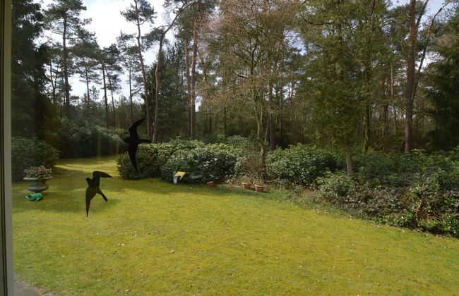 Holiday Home in Huijbergen Near Forest - Foto 15