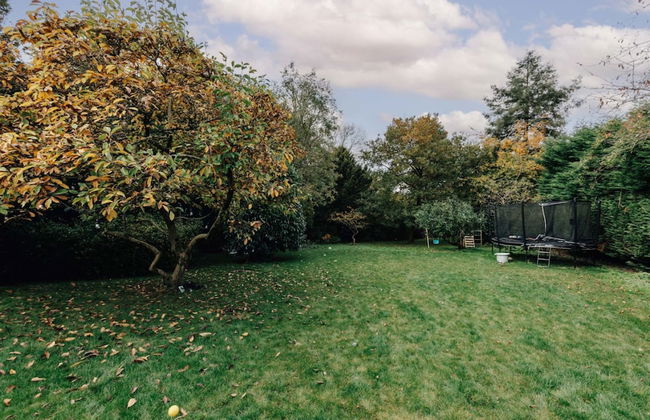 Rosefinch House in Crazies Hill - Photo 41