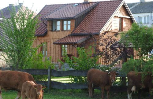 Agroturystyka Biebrzańska Kraina - Foto 24