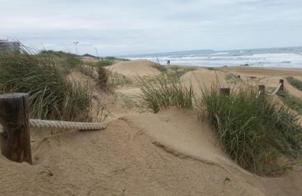 Puerto Pinar Luxe - Foto 26