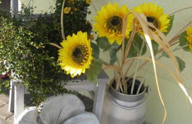 Ferienwohnung Bienwald mit Pool für 4 - 6 Personen mit 3 Schlafzimmern - Foto 18