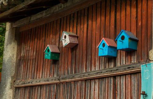 Casa de Romao - Foto 13