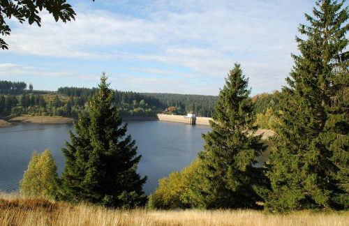 Modernes Ferienhaus im Harz Nähe Wernigerode - Foto 40