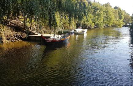 Casa Tejo by Valada Village - Foto 40