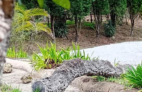 Retiro dos Cedros - Quarto Adega - Foto 27