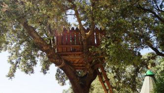 CABAÑAS ARGUELLITE - Foto 4