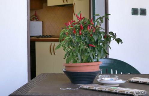 Agriturismo Manitta - Foto 33