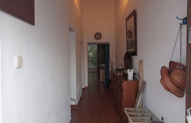 Ferreira do Alentejo Peroguarda Barbecue Ter - Foto 22