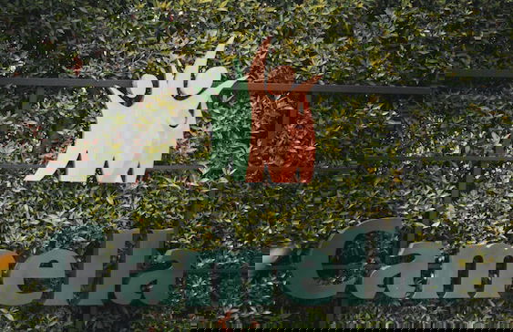 Catalina Majorca - Foto 43