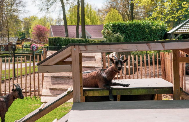 4 bedroom House in Lochem with swimming pool and terrace - Photo 17