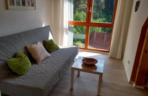 Holiday home in Hornberg with swimming pool - Foto 13