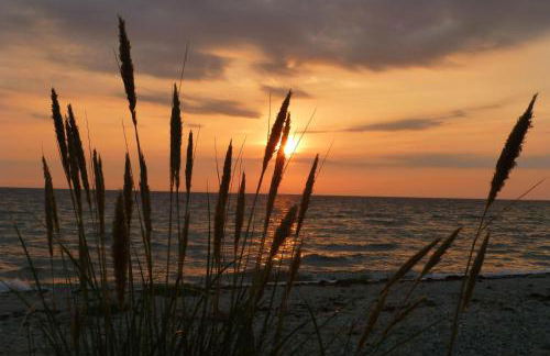 Kleines Landhaus Kopendorf - Foto 32