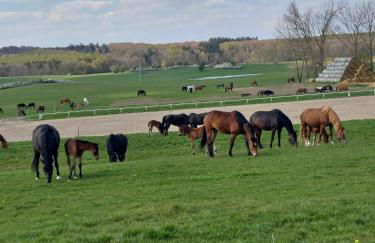 An den Sieben Seen - Foto 45