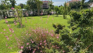 Giardino di Lei - Foto 3, Garden