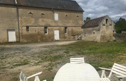 Boutons d'or - Foto 6