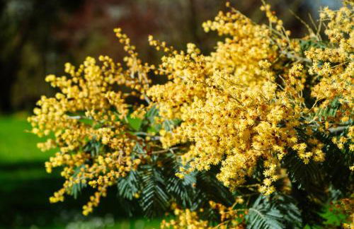 Chambre d'hote La Chapelle - Foto 25