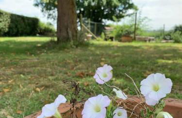 Cottage chaleureux au cœur des Monts de Flandres - Foto 23