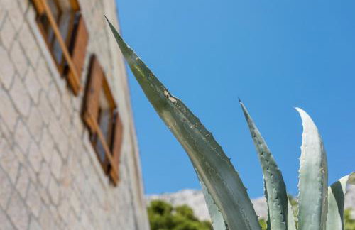 Waterview Apartments - Koru Apartment and pool - Photo 37