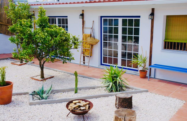 João Jungle - Photo 11