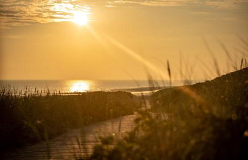 Arche Svea Kiebitz - Foto 20