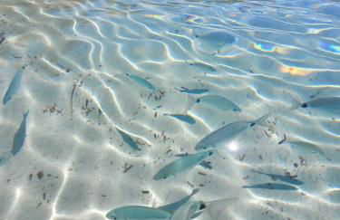 Cosy Flat il Melo - Photo 21