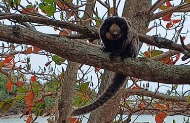 Apartamento em frente ao mar Nova Guarapari - Brasil - Foto 12