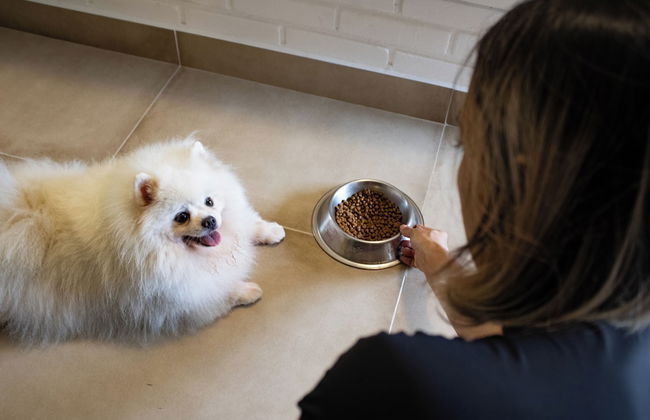 Matiz Igaratá Resort, Spa e Eventos - Foto 68