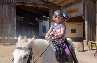 Pferdehof Bischof - Foto 13