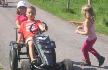 Ferienhof-Fink-Ferienwohnung-Sonnenblume - Foto 8