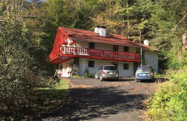 Catskill Cabin Duplex Apartment - Foto 17