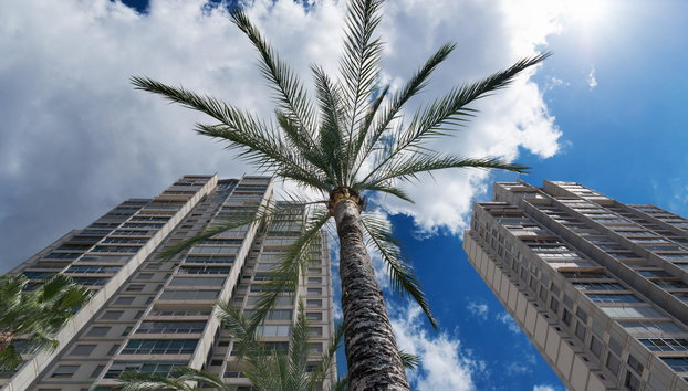 Gemelos 20-Fincas Benidorm - Foto 5