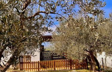 oasi macerina - Foto 43