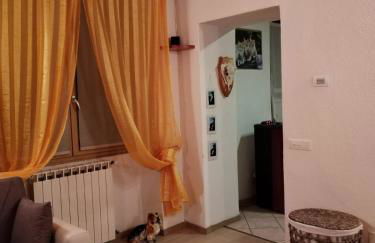 Cá del Manöl - Foto 9