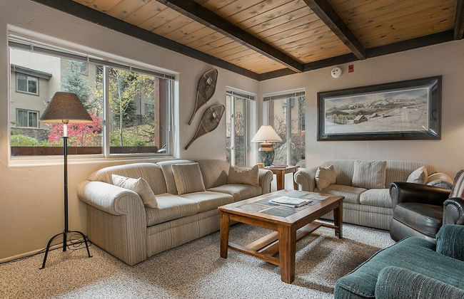 Willows Condos by Snowmass Vacations - Foto 28