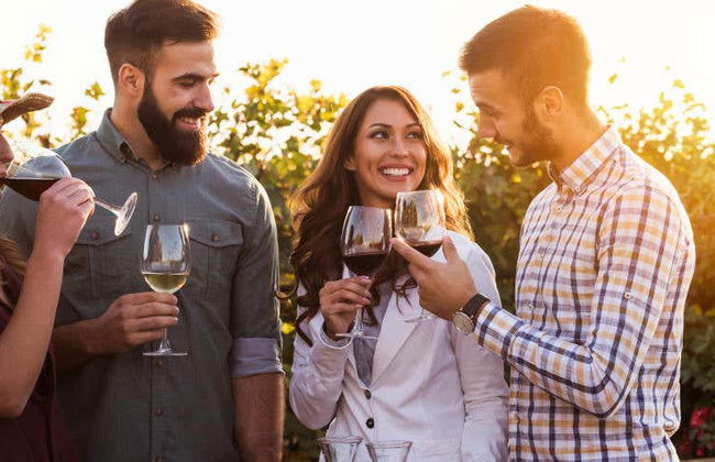 Degustazione di vino all'aria aperta - Foto 1