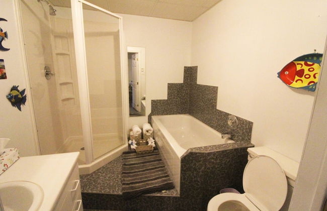 Les Trois Mentors Ghandi, Mandela, Luther King - Foto 8