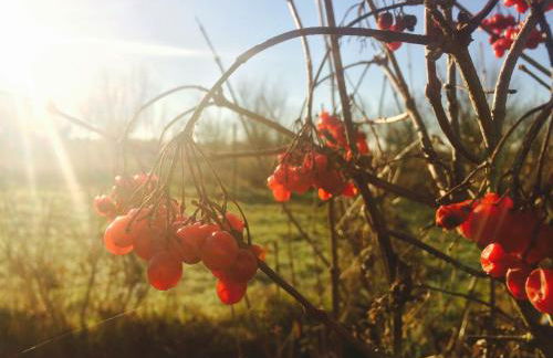 Alte Heimat - Foto 34