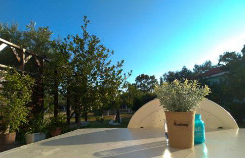 Eytuxia's Studios - Foto 12