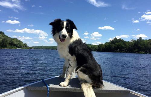 Charming Lakefront Cabin Rental with a Fire Pit near Brownville, Maine - Foto 12