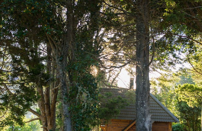 Cocos Cura Casas de Montaña - Photo 62