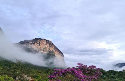 Green Chales - Vale do Capão - Foto 89