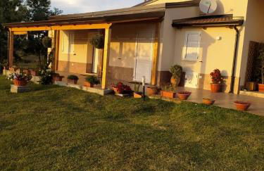 Casa vacanze Le mimose Colline di Tropea - Foto 4