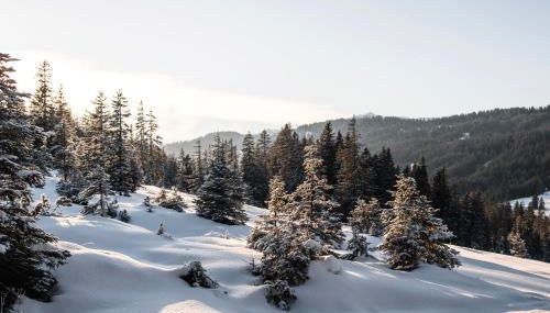 MARKT14 City Apartment Marktplatz Freundenstadt - Foto 5