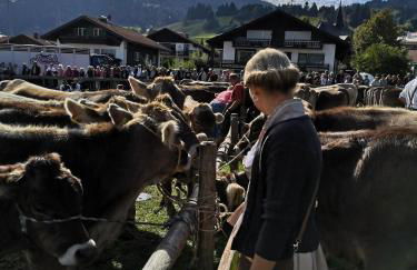Ferienwohnung Alpenherz - Photo 48