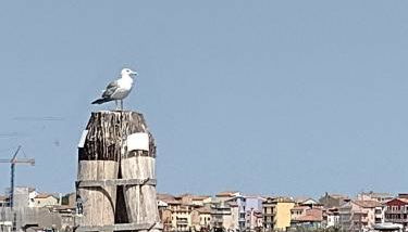 Casa della nonna - Foto 3